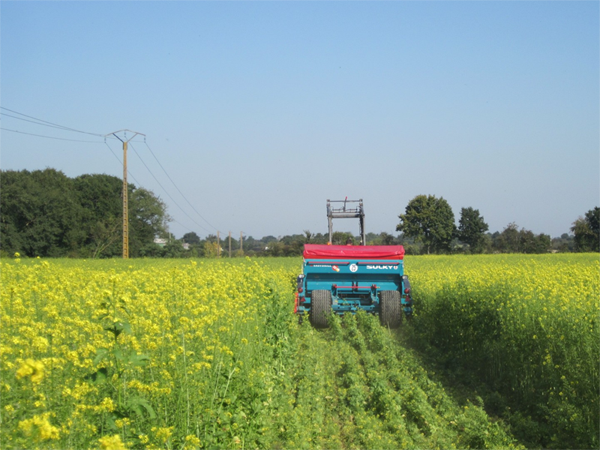 Les alternatives au Glyphosate selon les « Amis de la Terre »