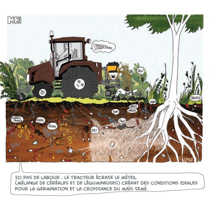 Fertile ou Stérile ?