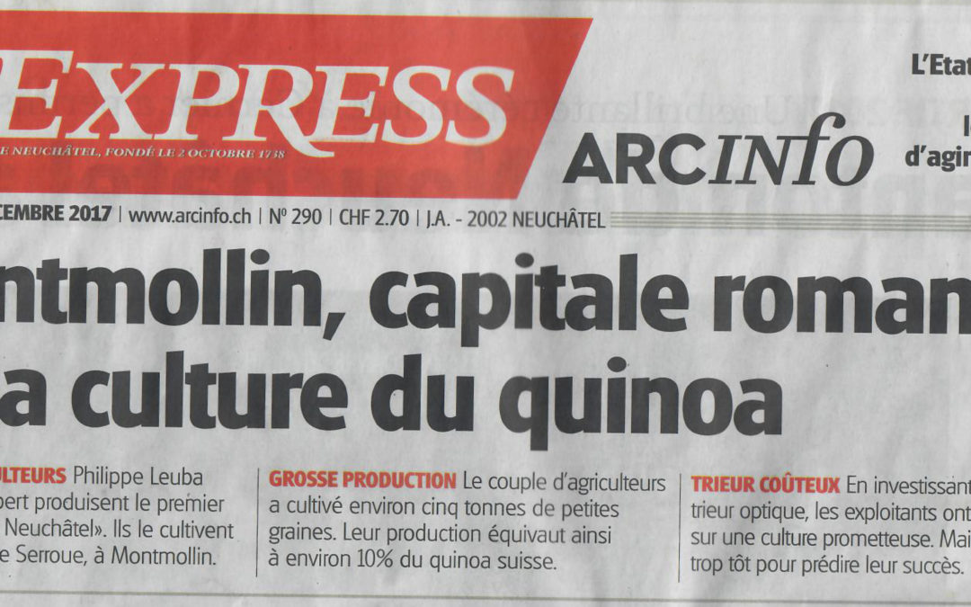 Montmollin, capitale romande de la culture du quinoa
