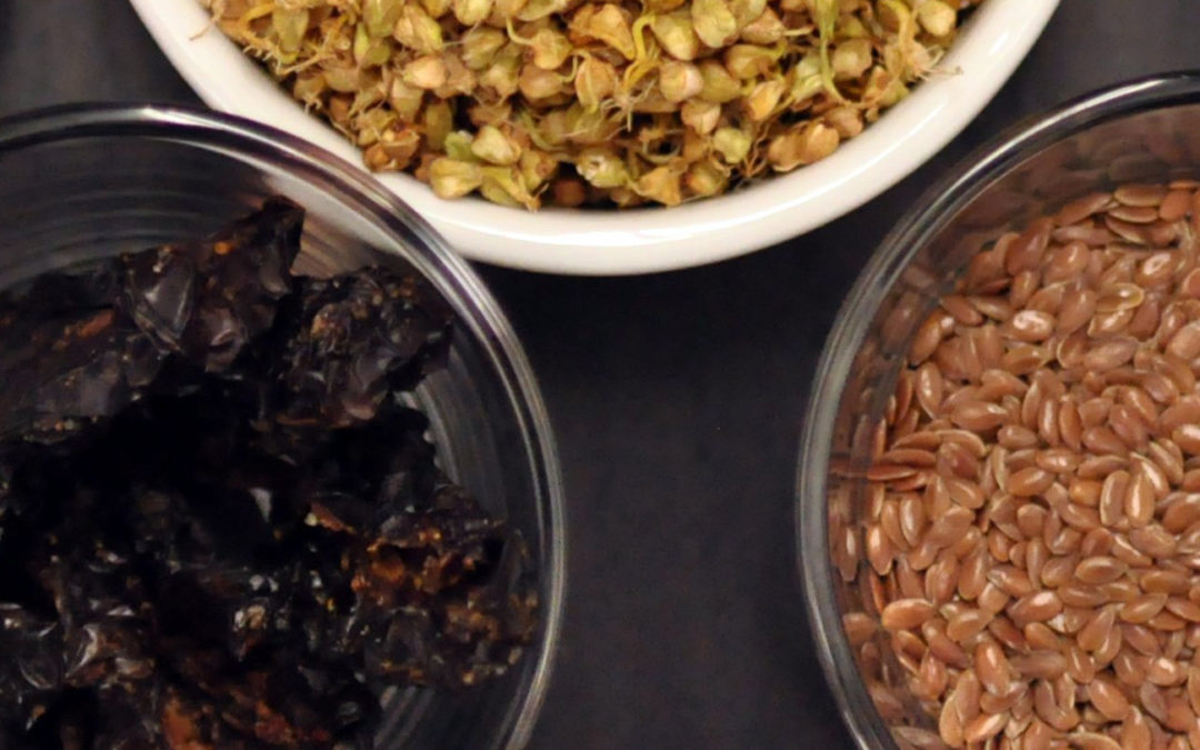 La joie des papilles Gustatives : Granola saveur salées