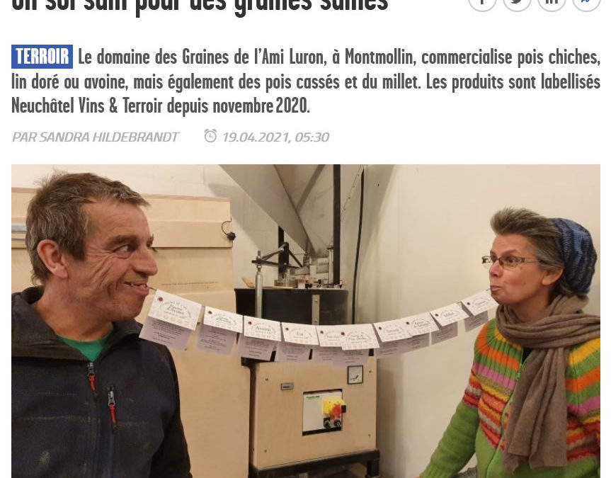 Un sol sain pour des graines saines